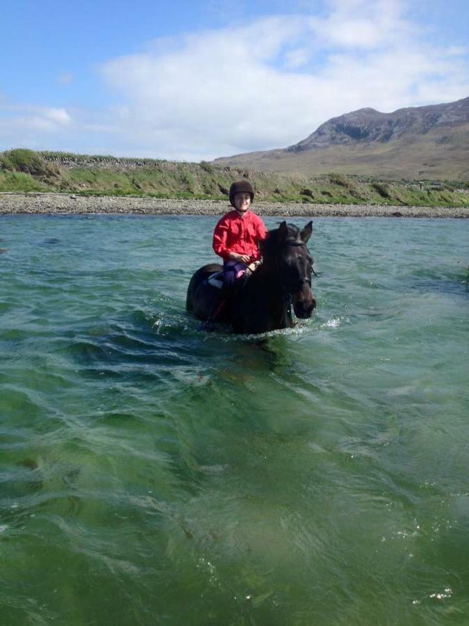 Reek View - Two Bedroom Cottage Westport Bagian luar foto