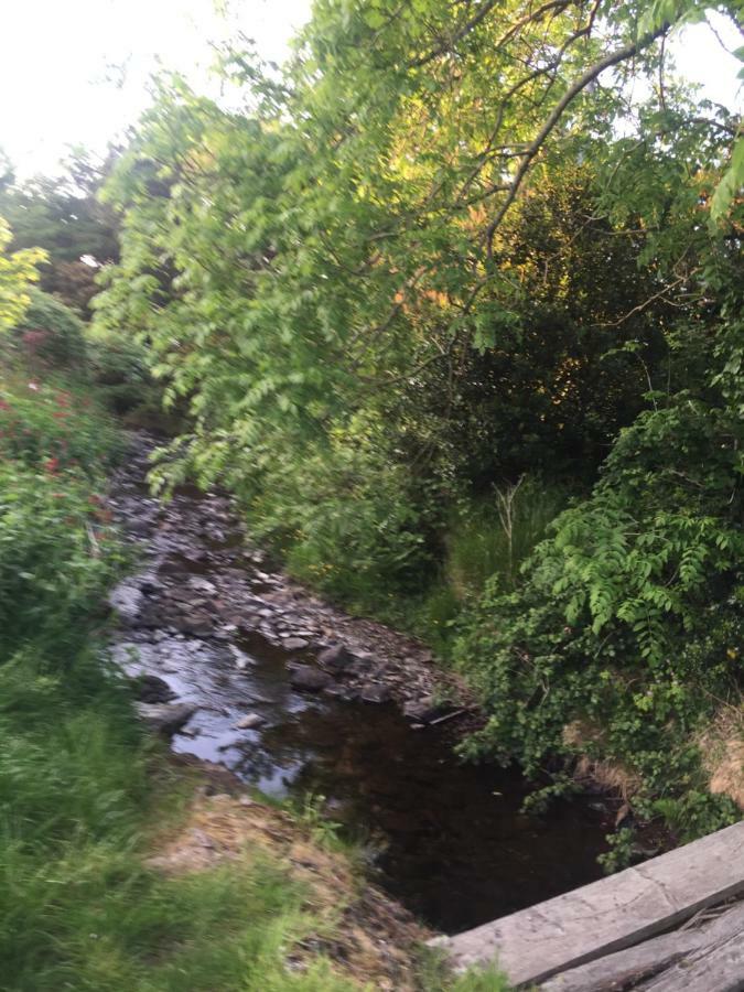 Reek View - Two Bedroom Cottage Westport Bagian luar foto